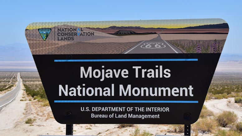 7 Things to do in Mojave Trails National Monument